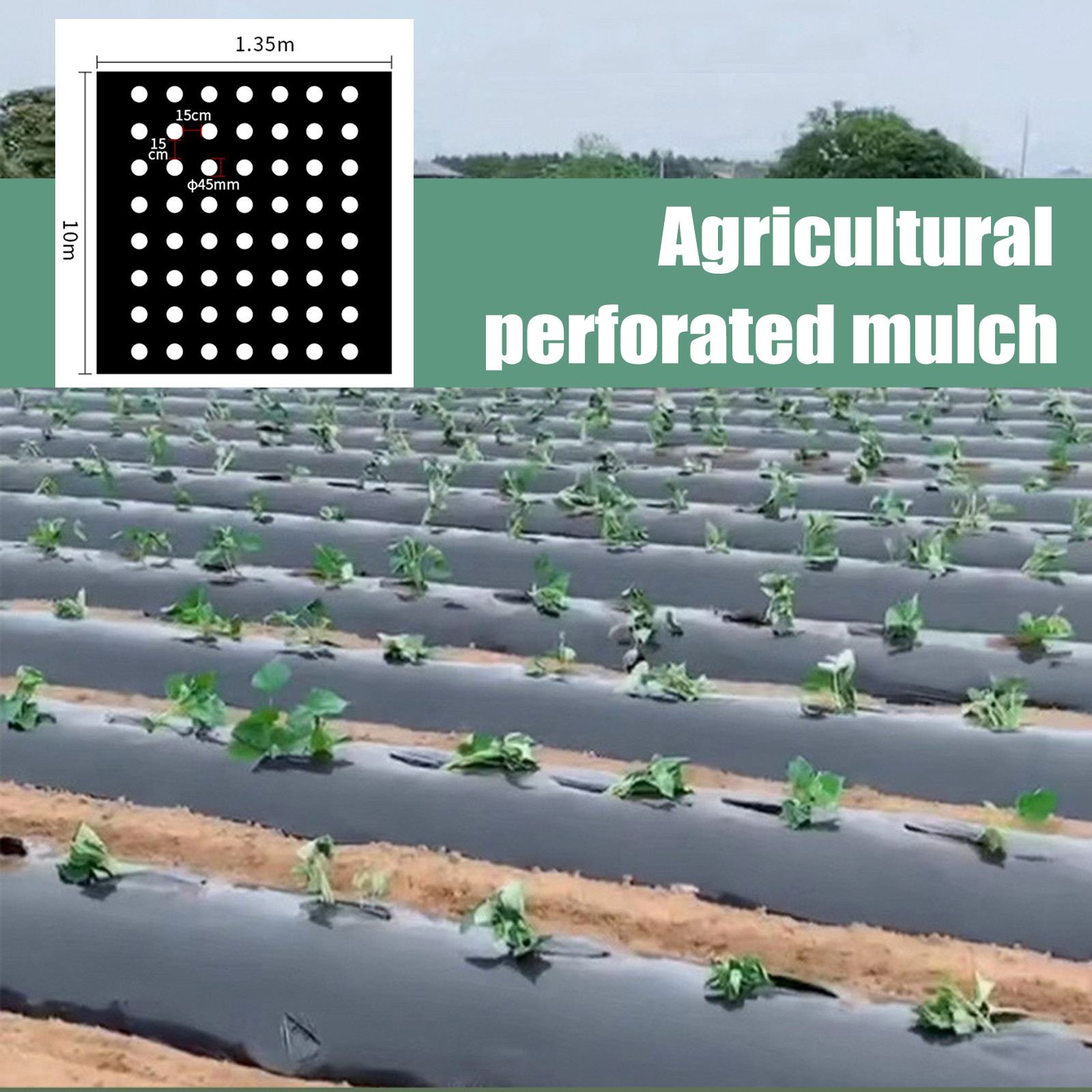 Folia perforowana PE do mulczo – Greenhouse Plastic Film recenzja i cena