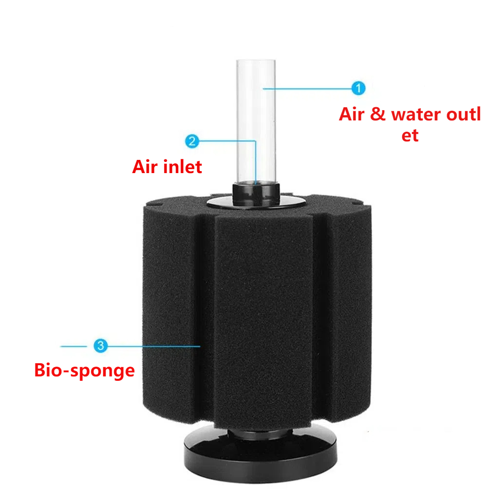 Gąbka filtracyjna do akwarium  – Aquaculture Aerator Pump recenzja i cena