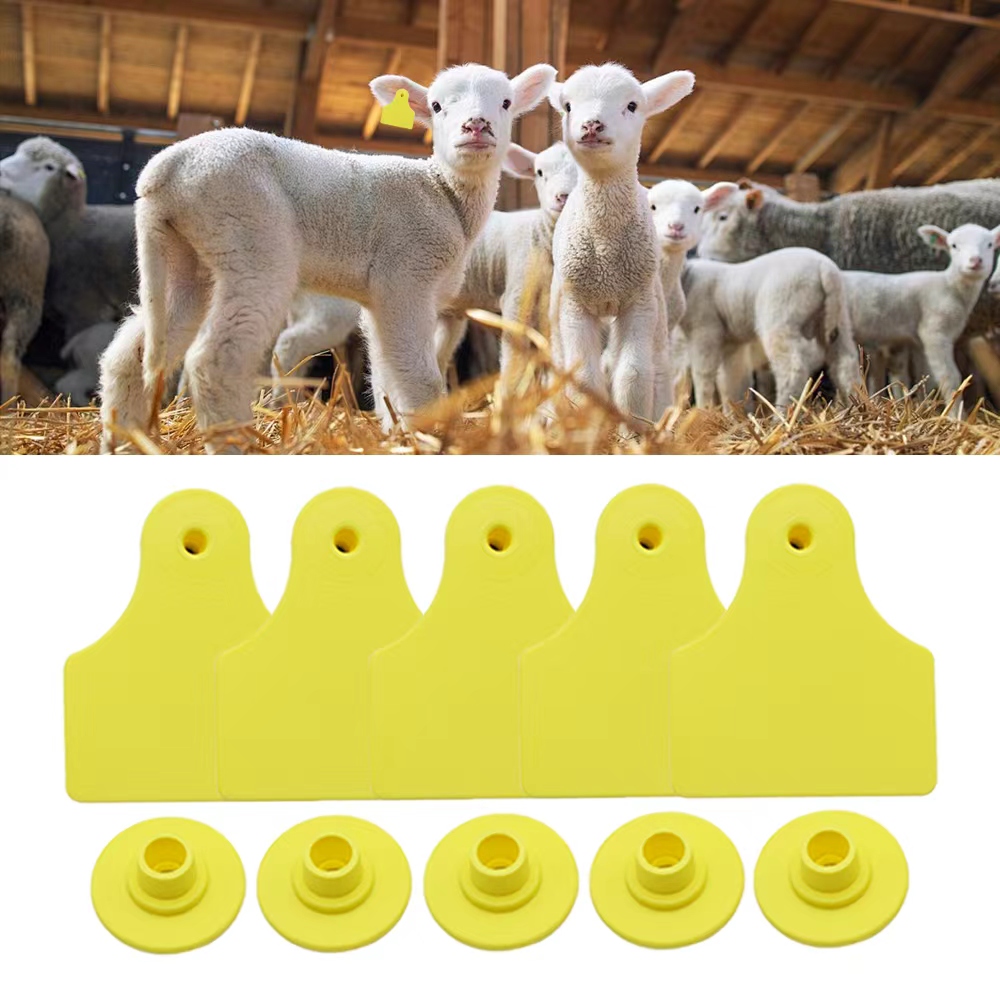 20 szt. 40*50mm Puste kolczyki – Livestock Ear Tag recenzja i cena